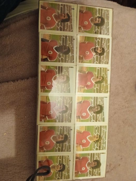 Vendo to isto do bemfica