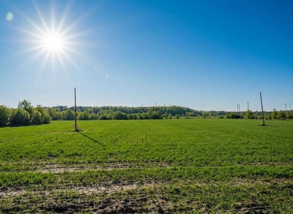 Продаж земельної ділянки 10 соток - ОСГ. Біля лісу. с.Оліївка. ID:747