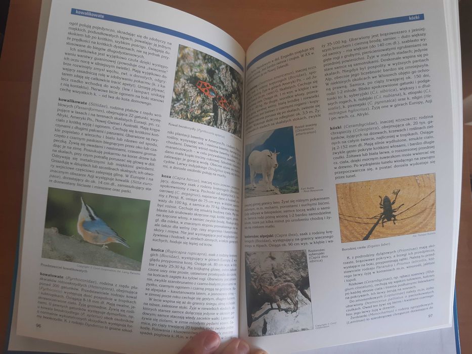 Encyklopedia Britannica Zoologia 160 str.