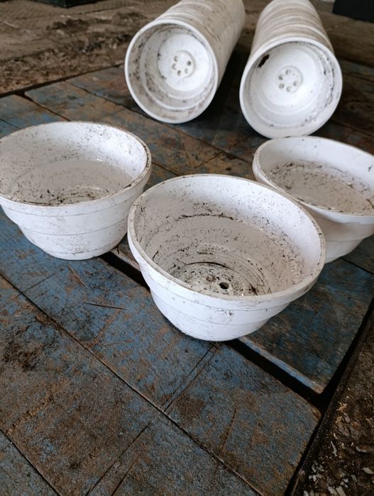 Горщики для квітів бувші у використанні