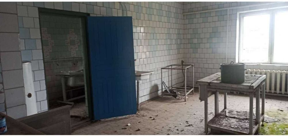 Будівлі та споруди, площею 226,70 кв.м. Чернігівська обл.