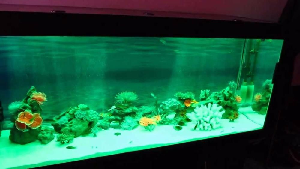 Продам светодиодную ленту для подсветки аквариума