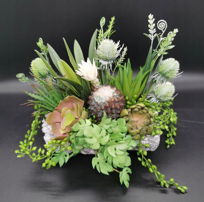 Kompozycja z sukulentów