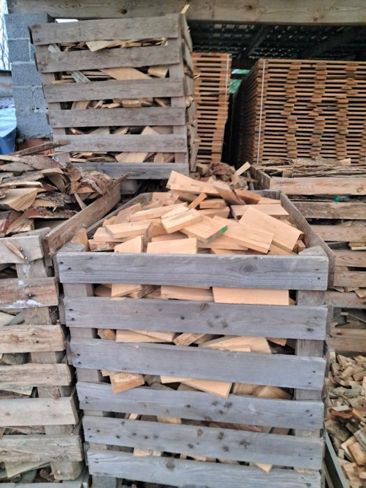 Drewno opałowe sosna