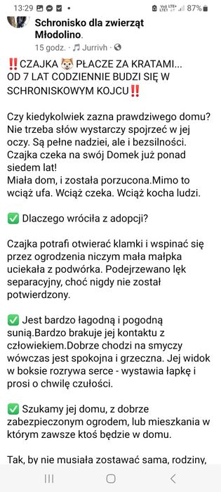 Suczk szuka.fsjnych ludzi