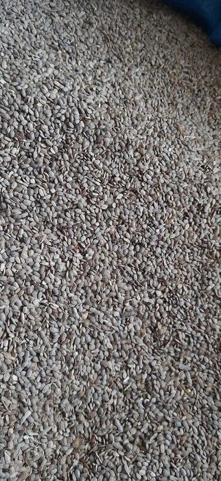 Seradela, saladera, seladera