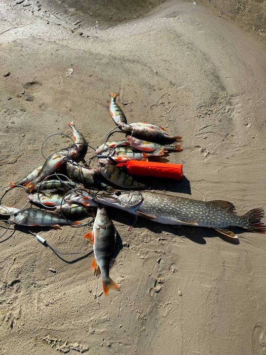 Оренда нових котеджів та номерів з централізованим опаленням