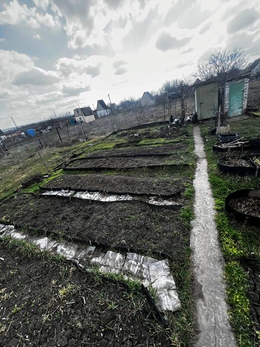 Дача,даманский, придорожное