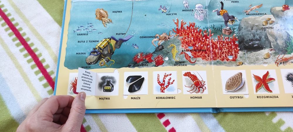 Morze. Tony Wolf wyszukiwanka z okienkami