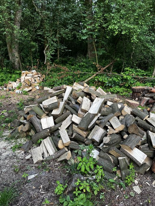 Drewno opałowe – dąb, grab, brzoza, sosna – transport GRATIS