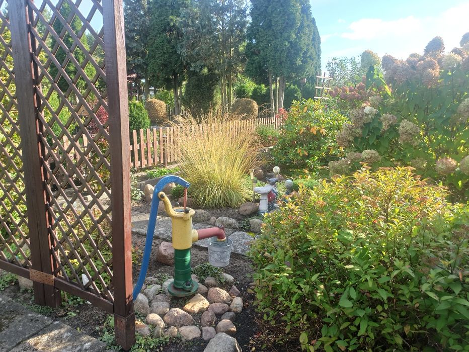 Działka ROD 40-lecia W.P.