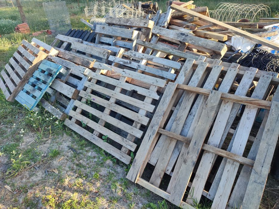 Paletes de madeira