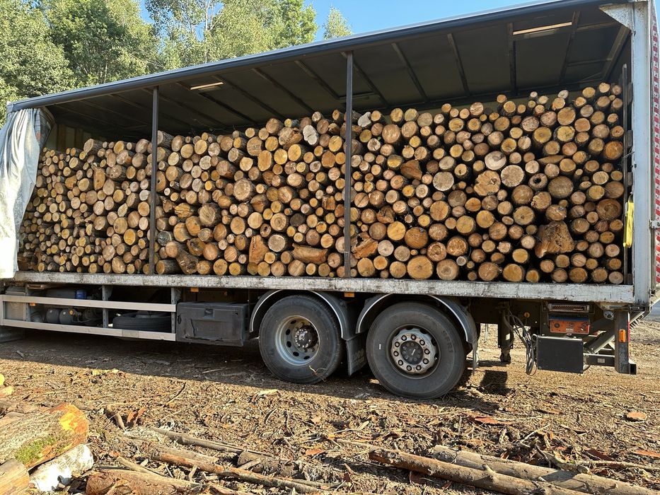 Дрова Дуб, граб, вільха, сосна, береза