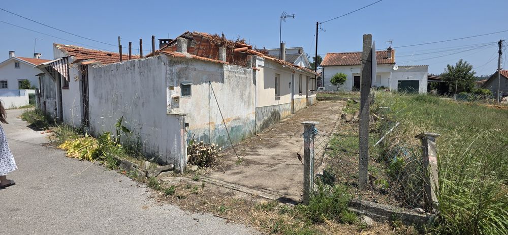 Moradia T3 Terrea com terreno