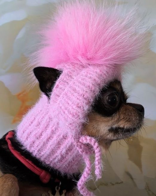 В'язані шапочки для собак невеликих порід