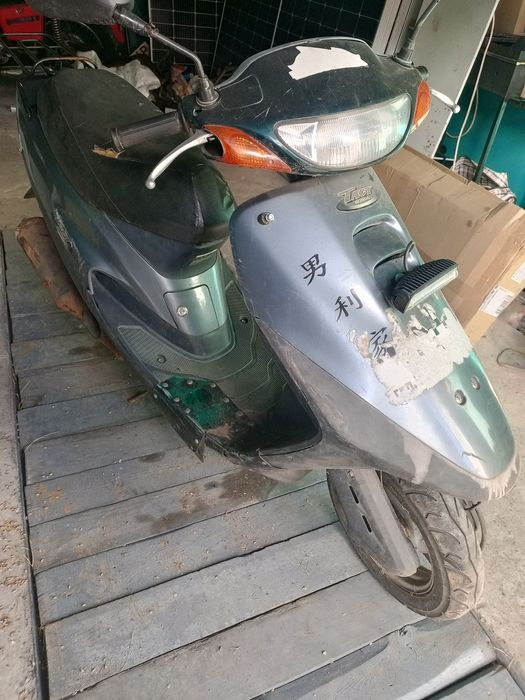 Honda Tact .                            .