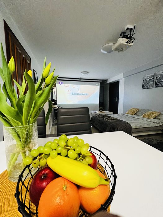 NOCLEG Żywiec okolice  Apartament Pokoje  do wynajęcia