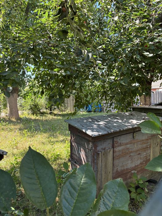 Будинок на 25 сотках у Козятині - простір для родини, 15 хв до центру міста