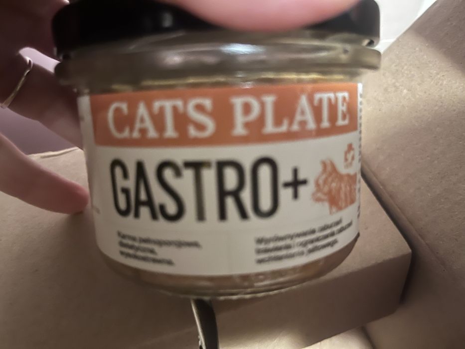 Sprzedam karme gastro +, firmy Cats Plate 11 słoiczków
