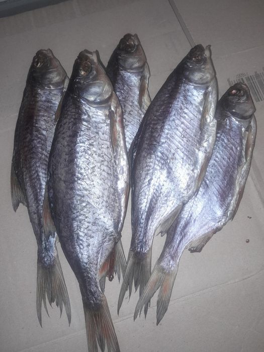 Тарань домашнего посола 100%Икряная