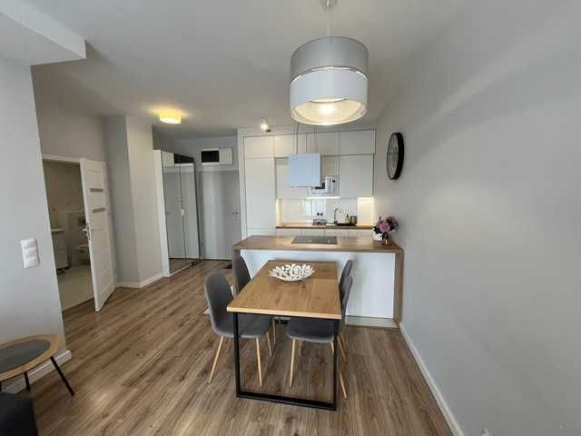 Mieszkanie 2 pokojowe w centrum Łodzi Apartamenty Mickiewicza 4