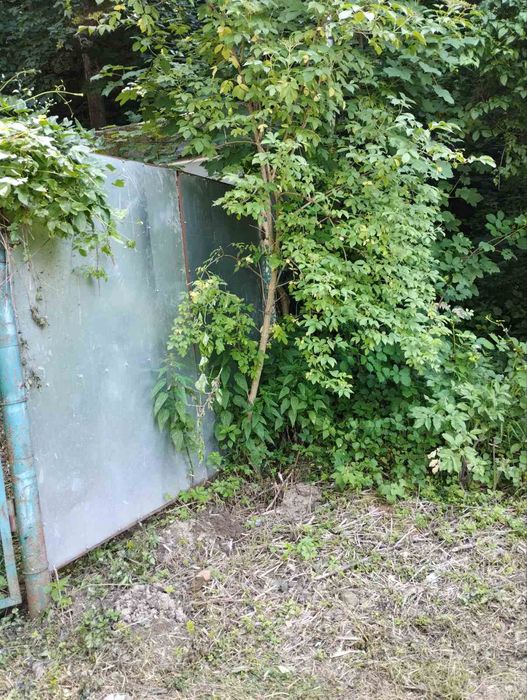 Продаж ДАЧІ  в зоні ВІДПОЧИНКУ біля Ужгорода
