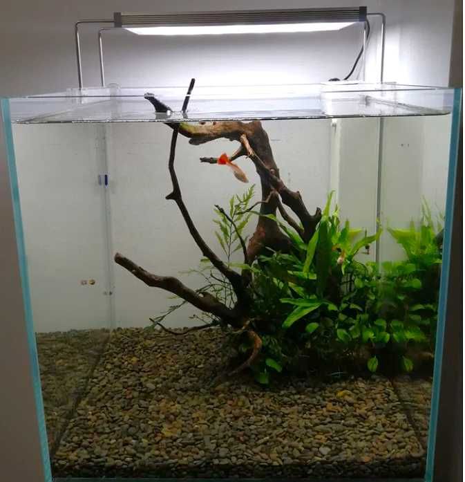 cubo 40 aquário com tudo
