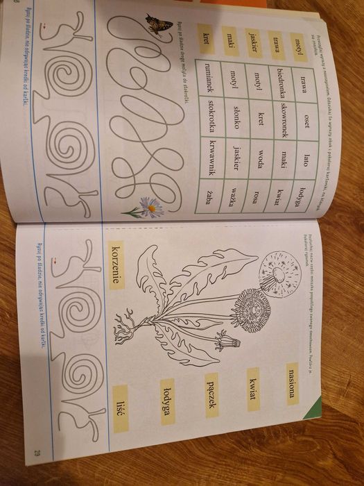 Olek i Ada poziom B karty pracy cz.5 MAC