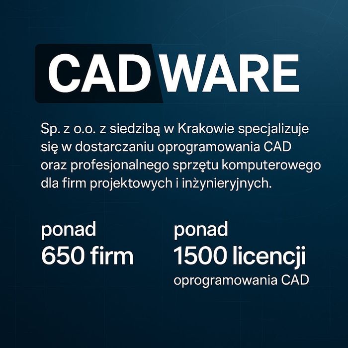 Autodesk Robot Structural Analysis Professional 2013 - wieczysta