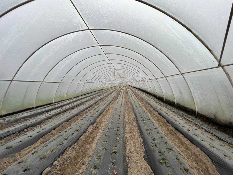 Продаж земельної ділянки з садівництвом м. Жовква с. Блищиводи