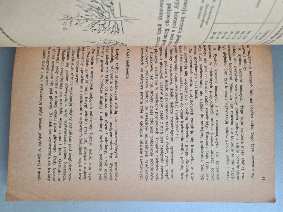 Ogólna uprawa roli i roślin - Książka