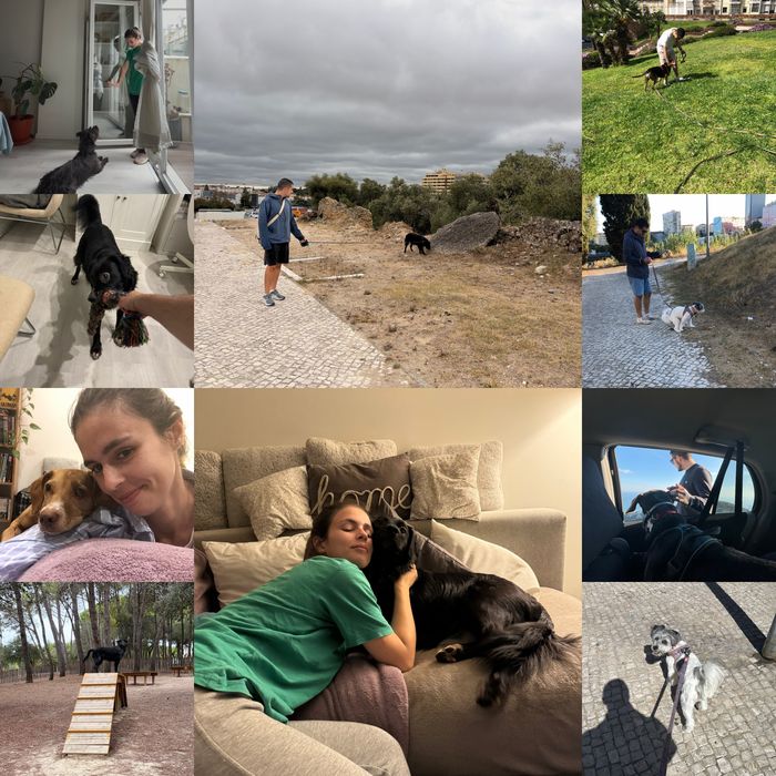 Petsitting Lisboa (Olaias/Picheleira/Beato)