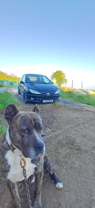 Vendo meu carro para comprar  outro familiar