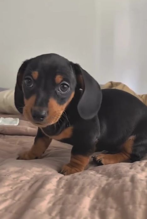 Дівчинка і хлопчик