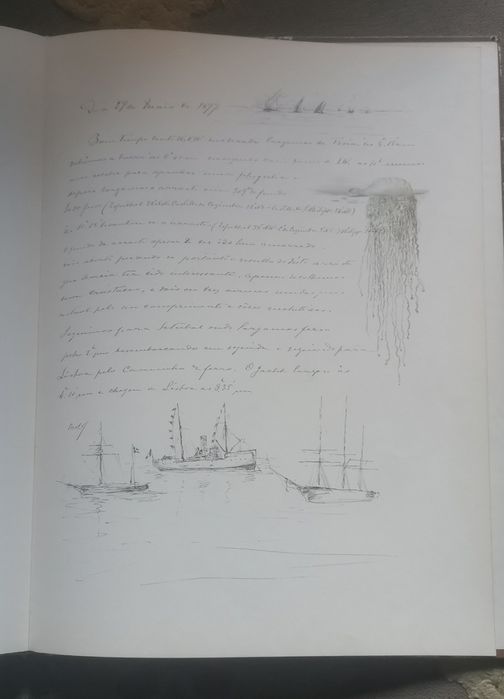 D. Carlos de Bragança