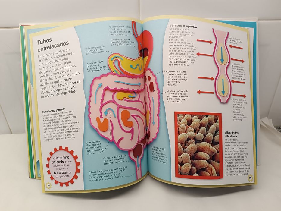 A Máquina do Corpo Humano. Livro educativo.