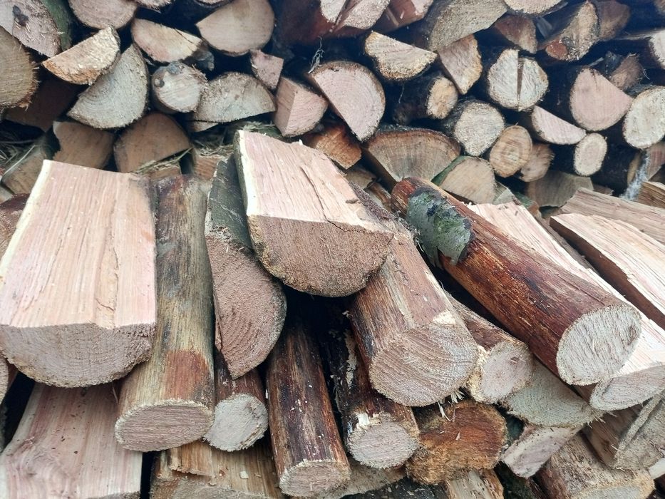 Дрова СуХі та свіжоколоті твердих порід