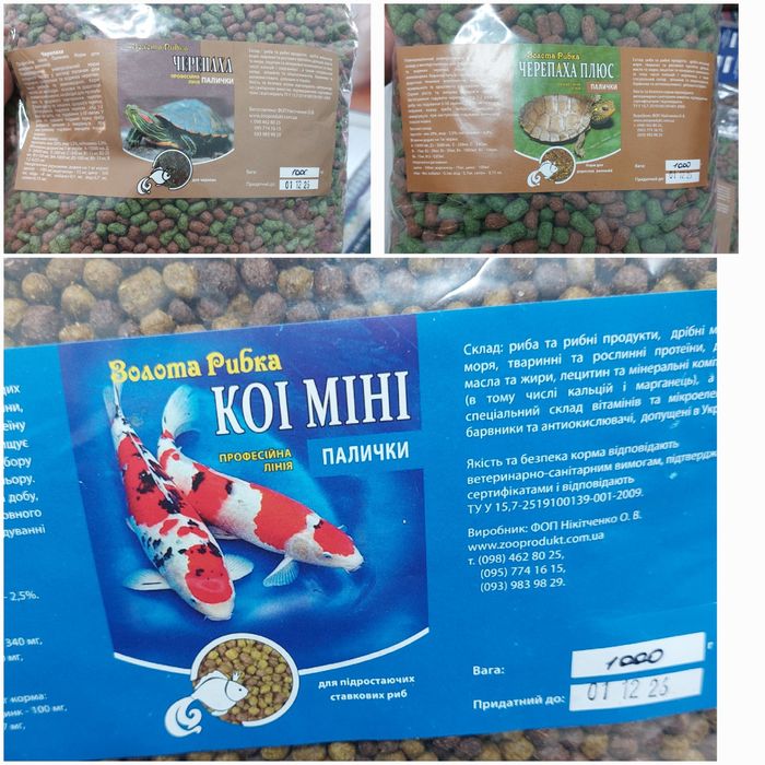 Тетра Цихлід, Золота рибка для Черепах, Кої, Цихлід