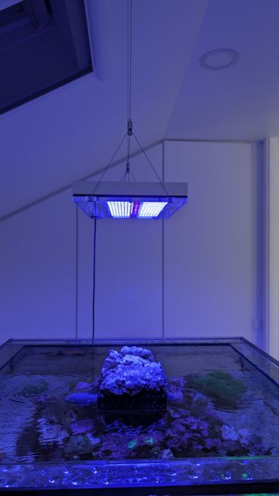 LED GNC Blu-ray XM