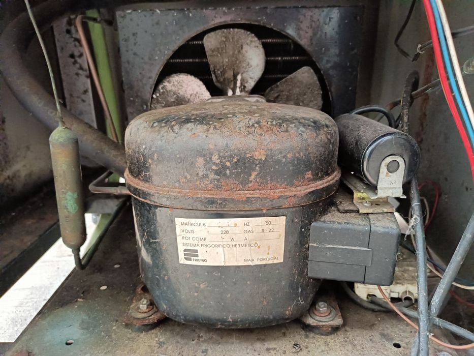 Expositor/vitrine bancada de frio para peixes