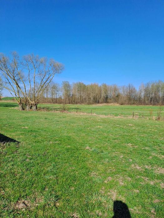 Działka 51 arów z domkiem i stodołą - Widok 2