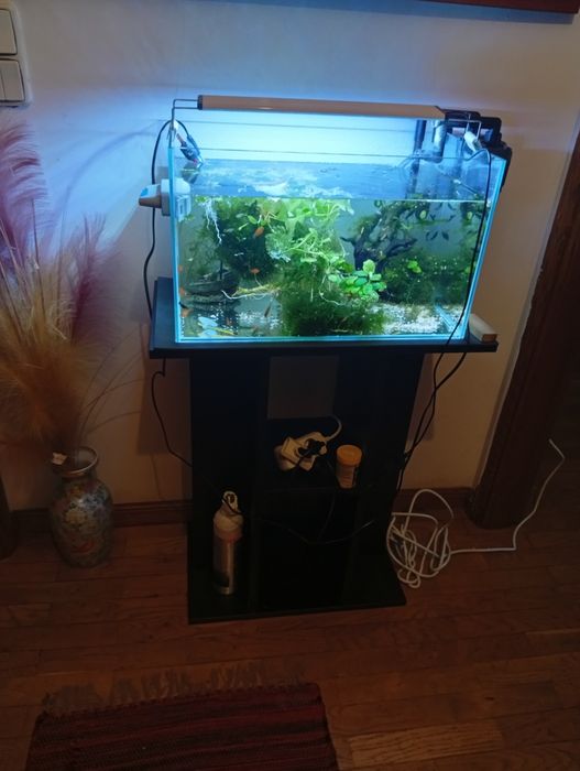 Vendo  aquários e filtro