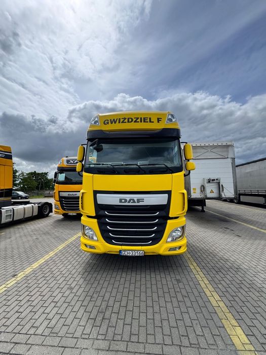 DAF