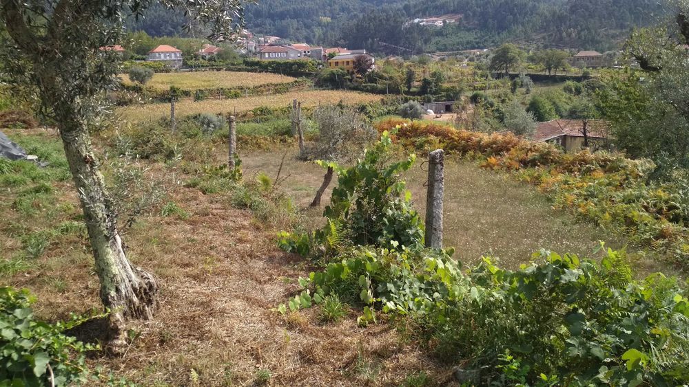 Terreno para Construção no Centro Freguesia de Real, Castelo de Paiva