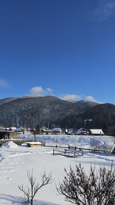 Відпочинок в Карпатах,Ворохта,котедж" Віадук"