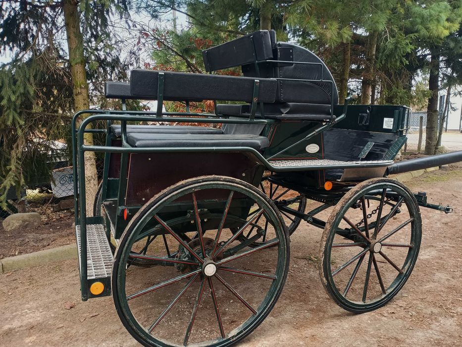 Piękna bryczka rekreacyjna-Wagonetka