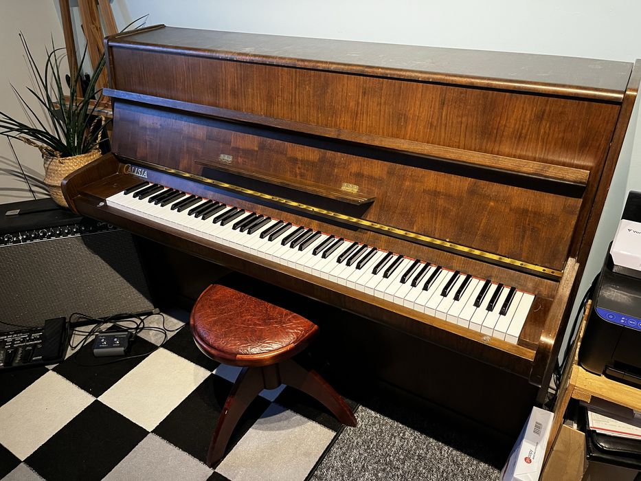 Pianino Calisia, Polska Produkcja, fortepianowe brzmienie.