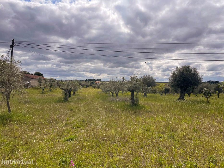Terreno