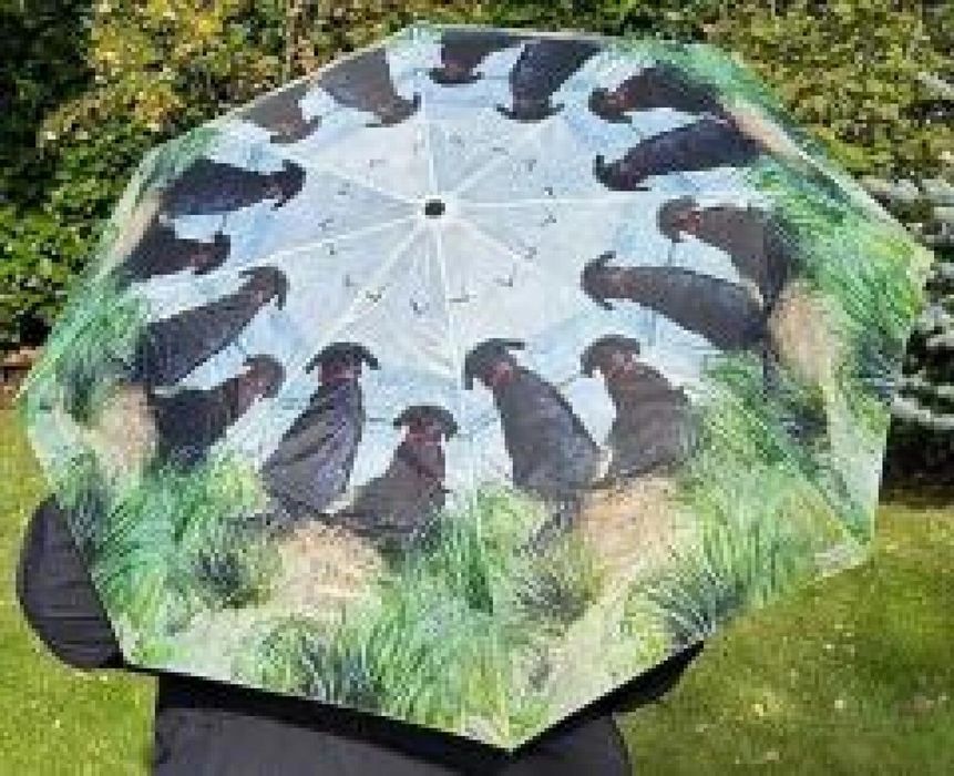 Parasolka Psy na wydmach oprawa: folia