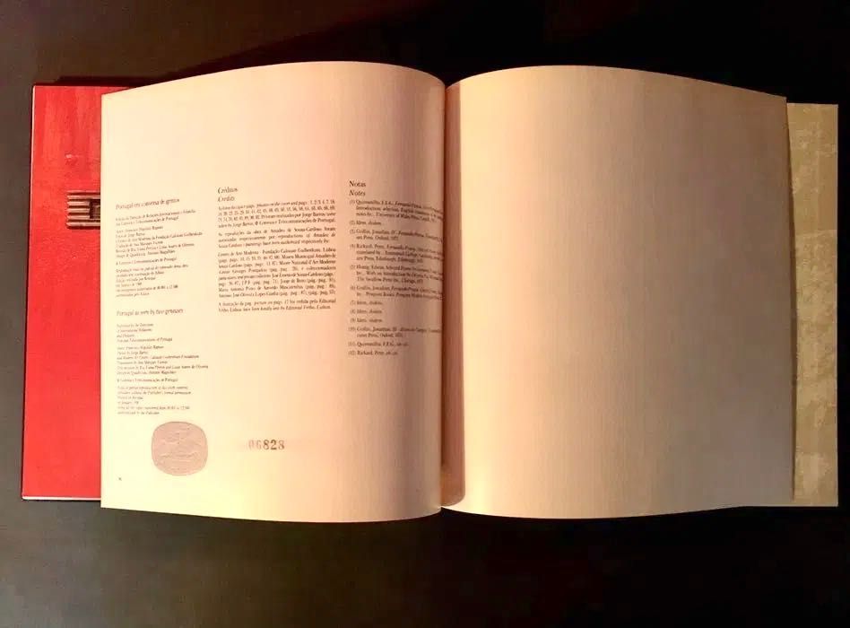 PORTUGAL em CONVERSA de GÉNIOS - Amadeu / Pessoa